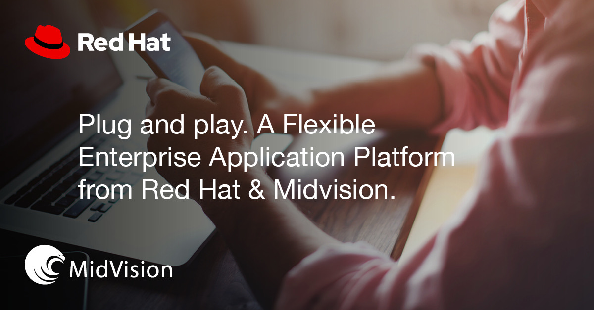 A Red Hat JBoss EAP you can switch on or off as you need it